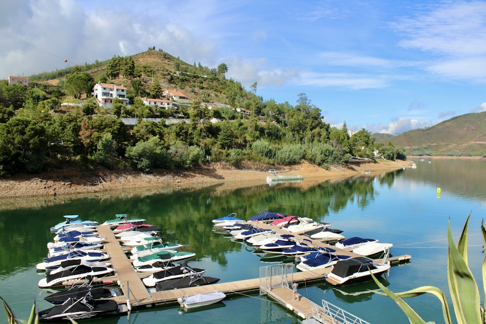 a bunch of boats that are sitting in the water