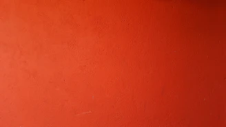 A vibrant wall freshly painted in warm sunrise orange, showcasing smooth and even coverage.