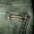 Close-up view of a textured green fabric featuring a visible seam and a small black label with gold embroidery.