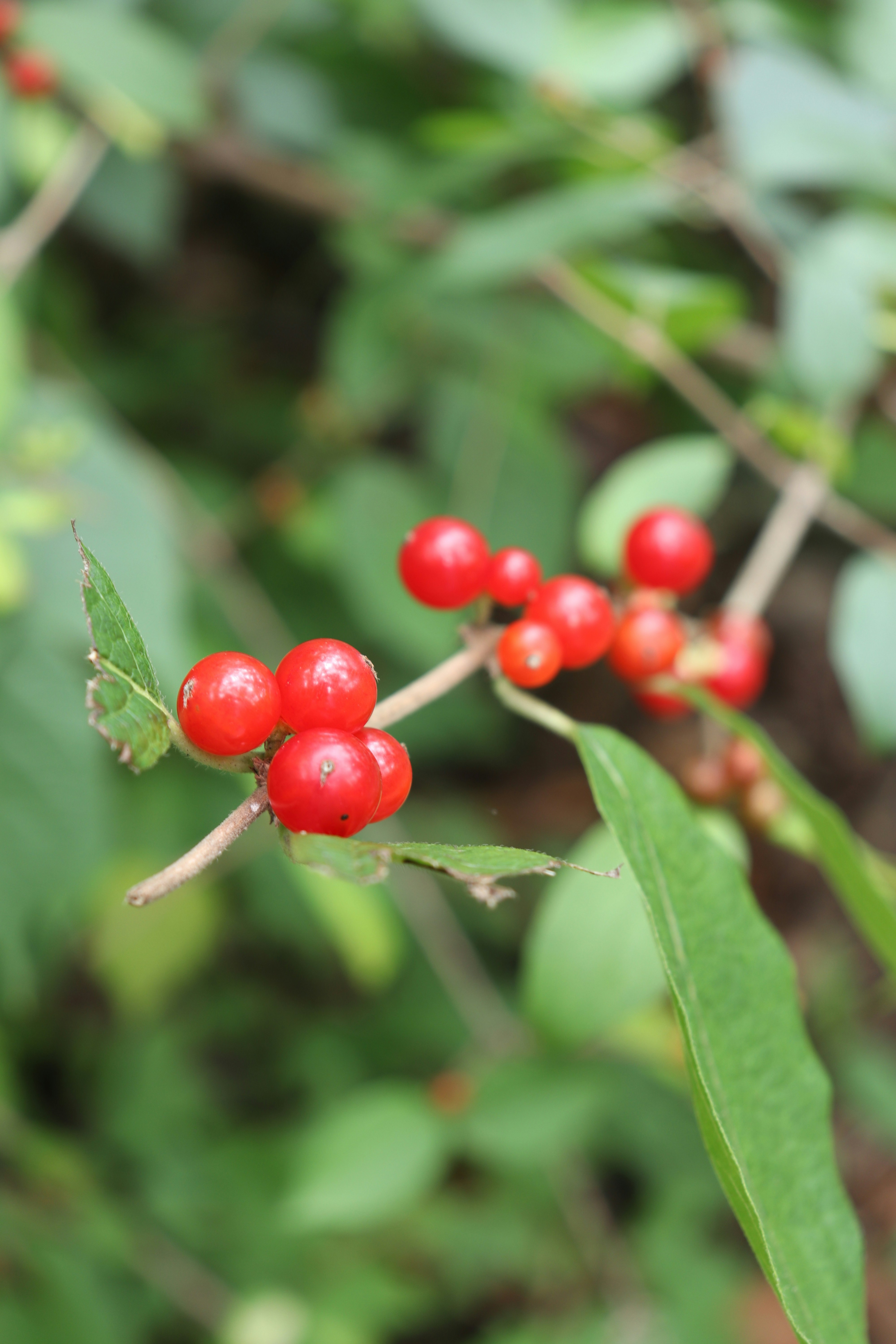 Photo by dpxphotography