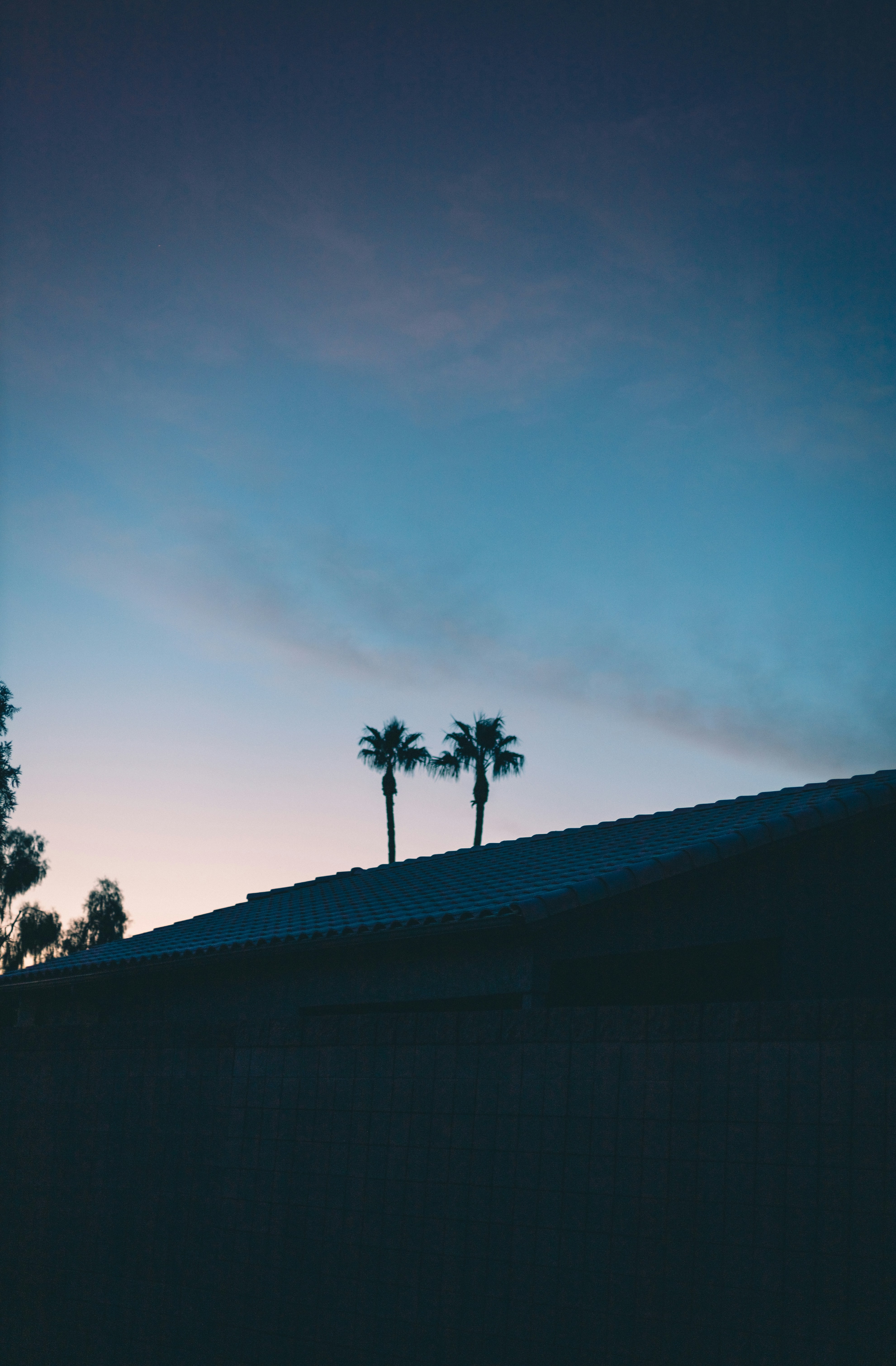 Photo by jeffersonsees