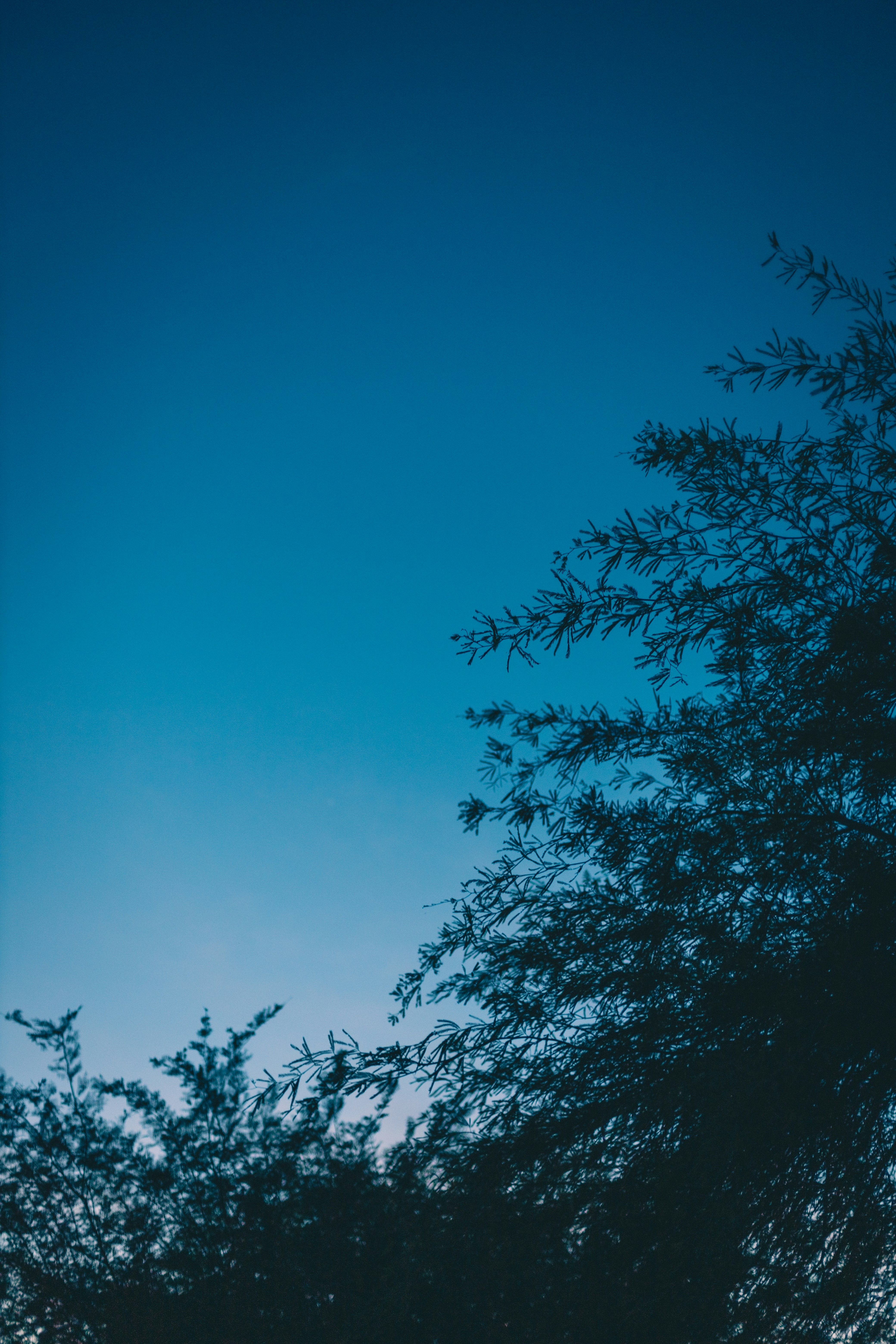 Photo by jeffersonsees