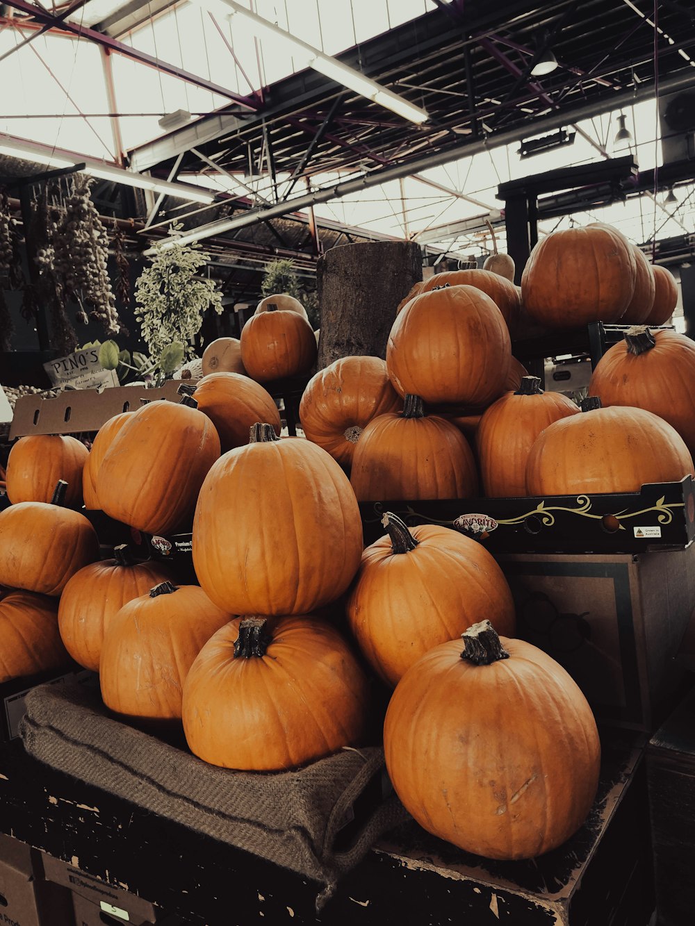 a pile of pumpkins sitting on top of a table