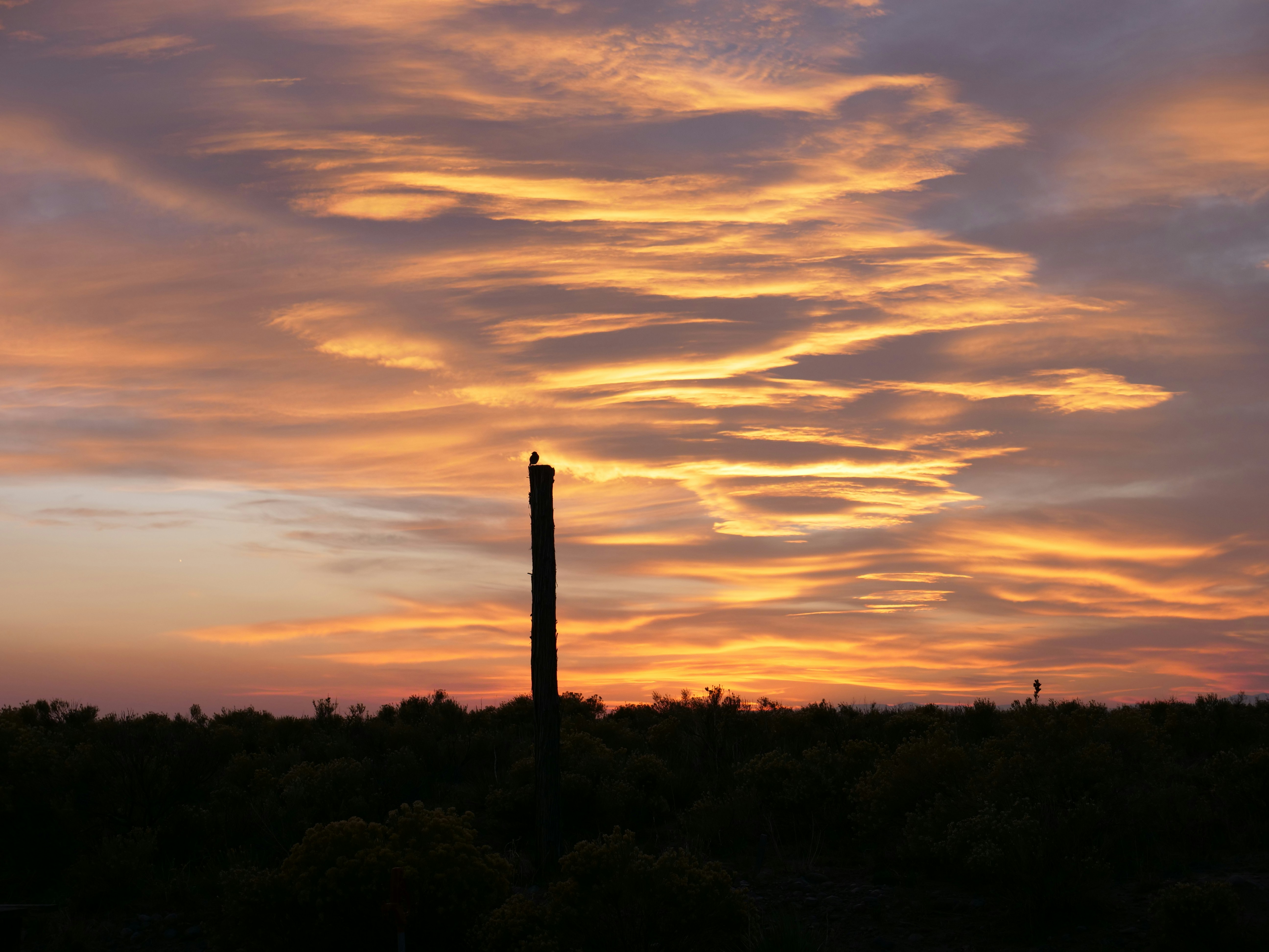 a tall pole sitting in the middle of a field