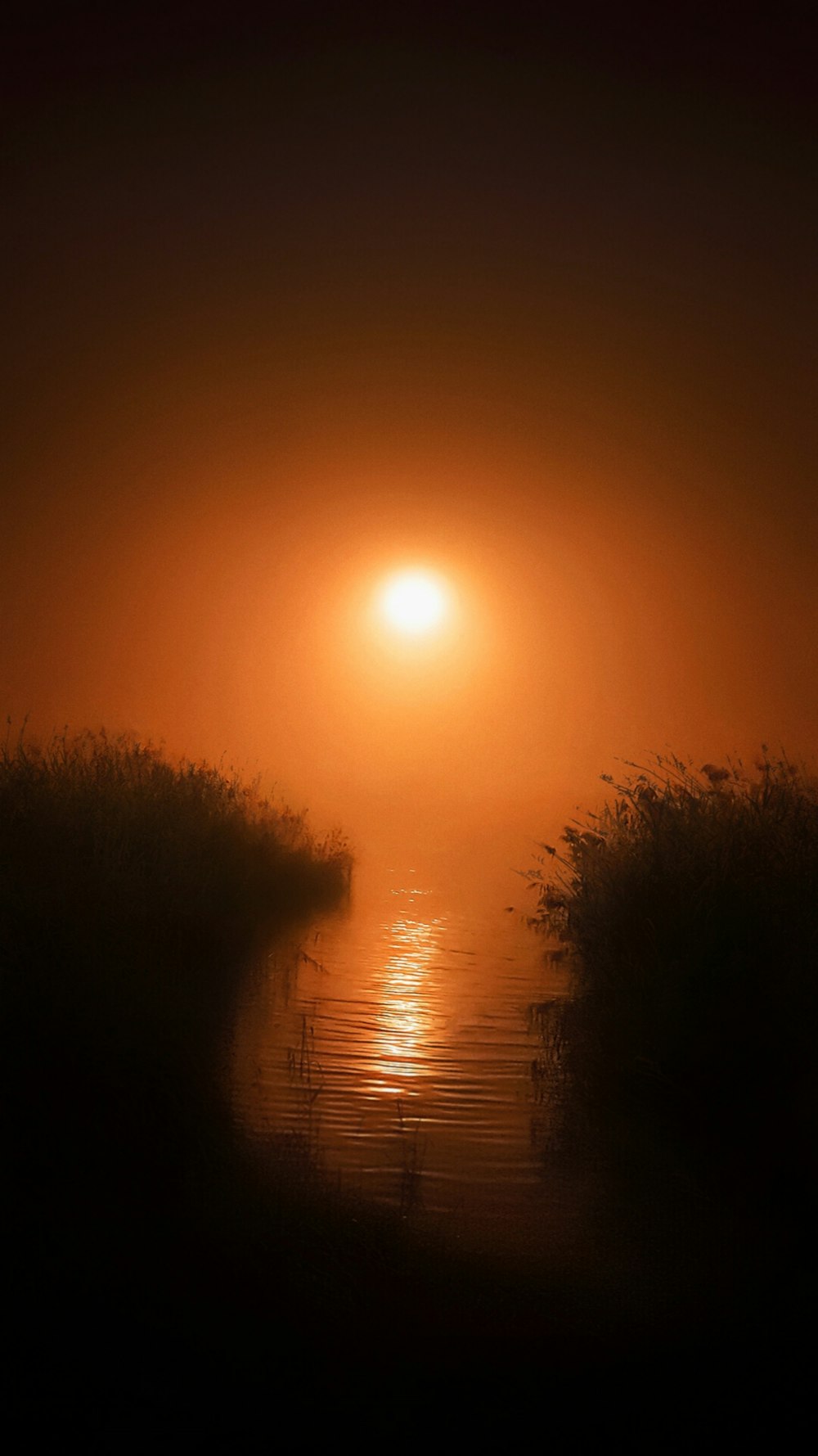 a body of water surrounded by grass and a sunset