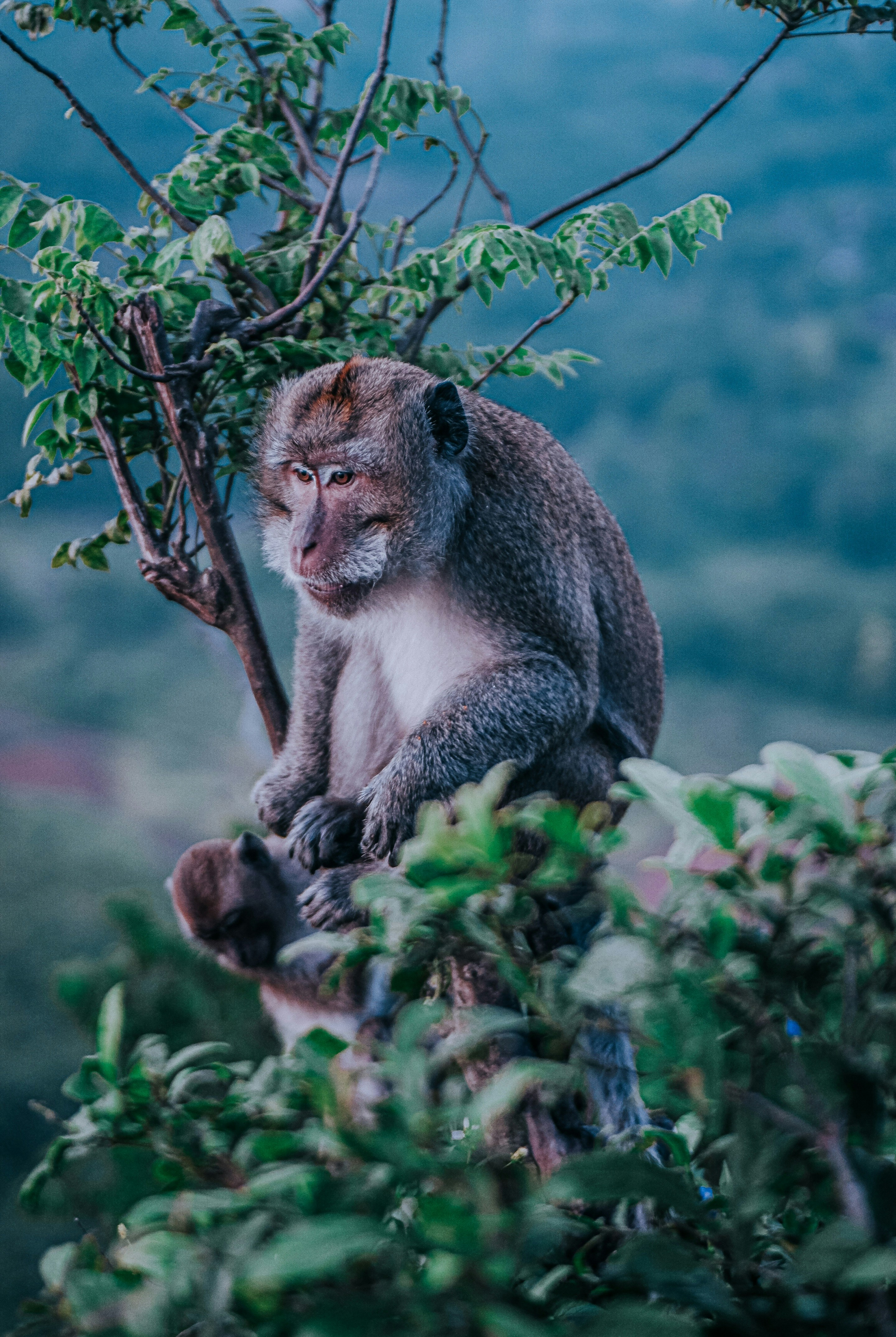 Photo by allezsandrosalman