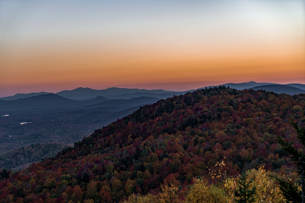 a sunset view of a mountain range with trees in the foreground
