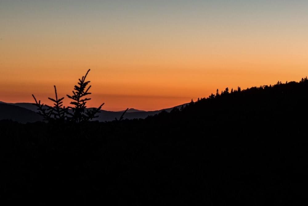 the sun is setting over the mountains and trees