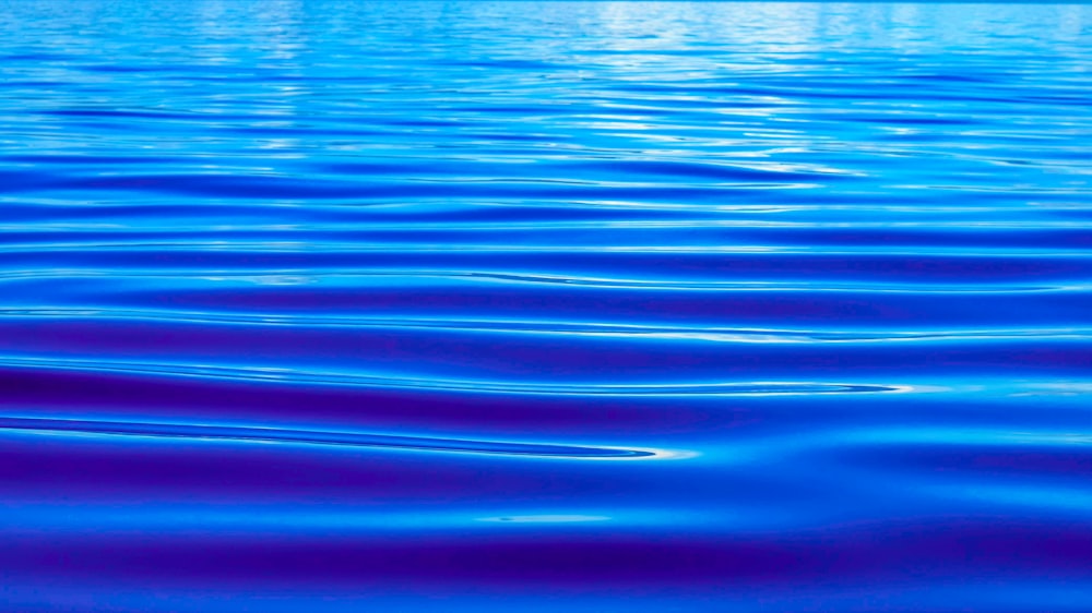 blue water with ripples in the middle of it