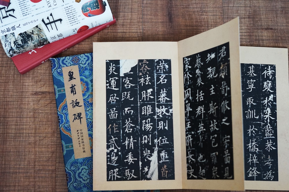 an open book with chinese writing on it