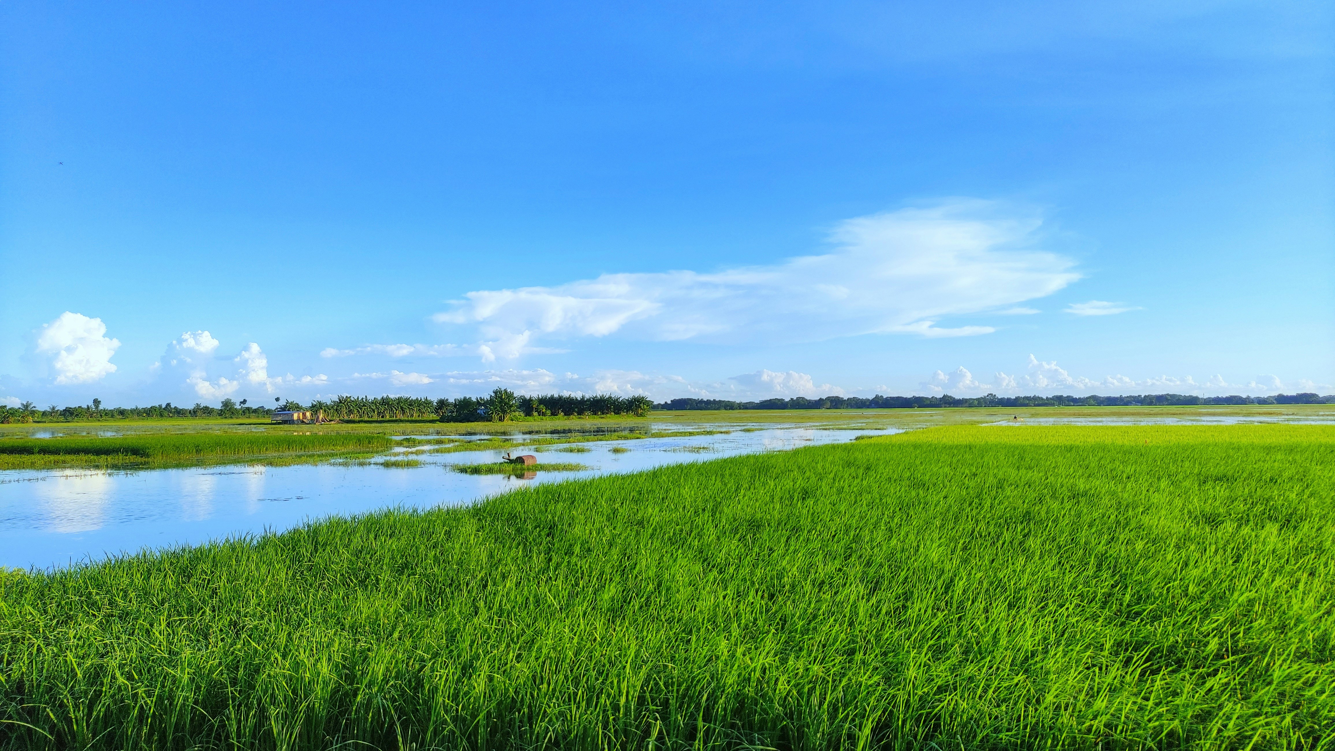 Photo by artholickamruzzaman