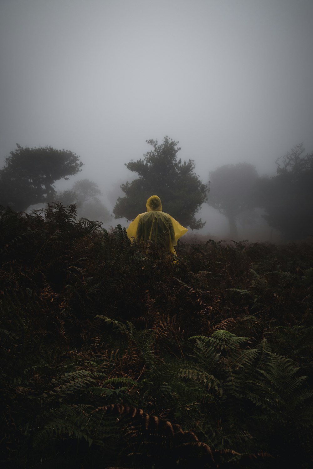 a person in a yellow raincoat walking through a foggy forest