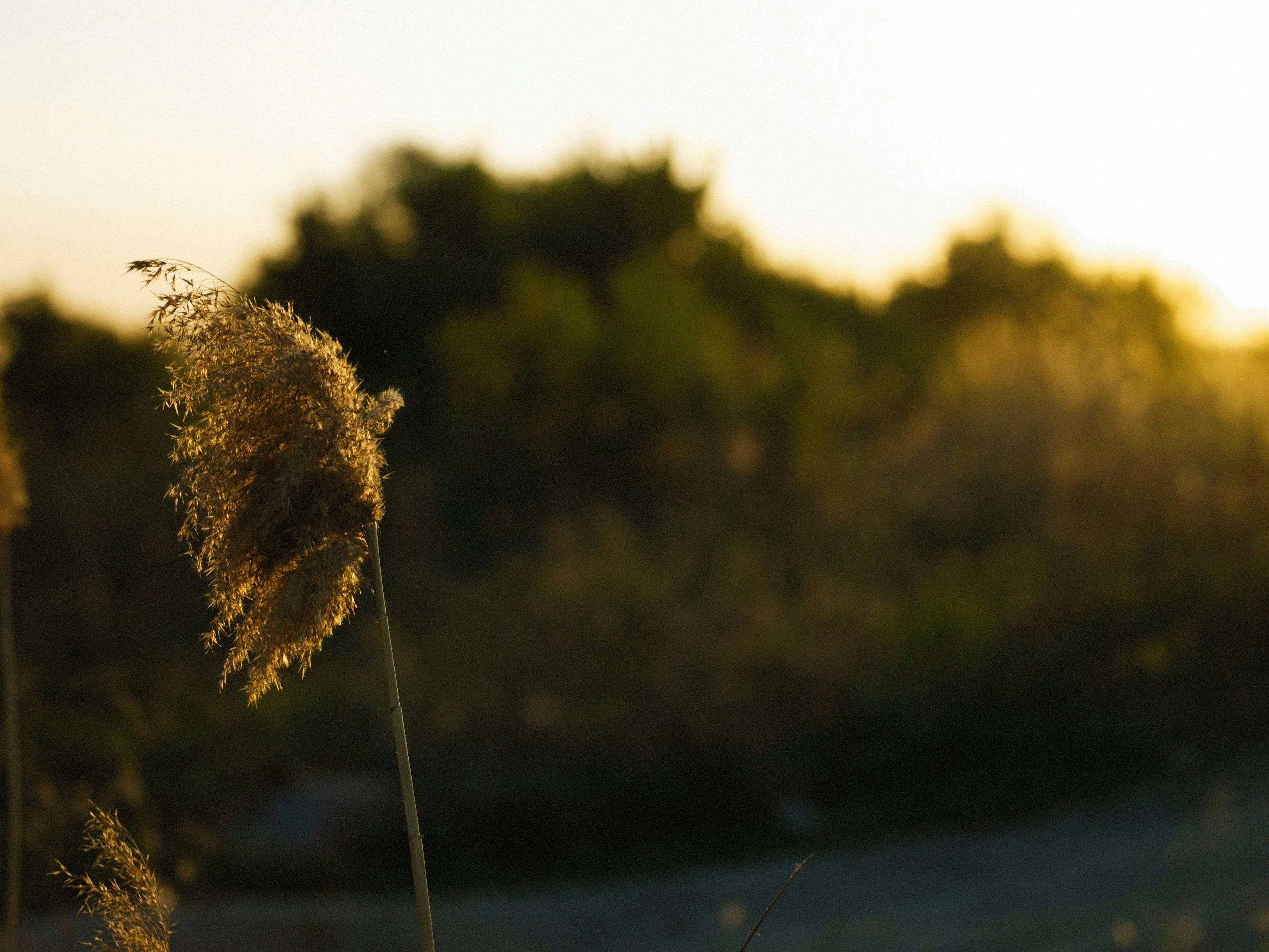 Photo by alexeydemidov