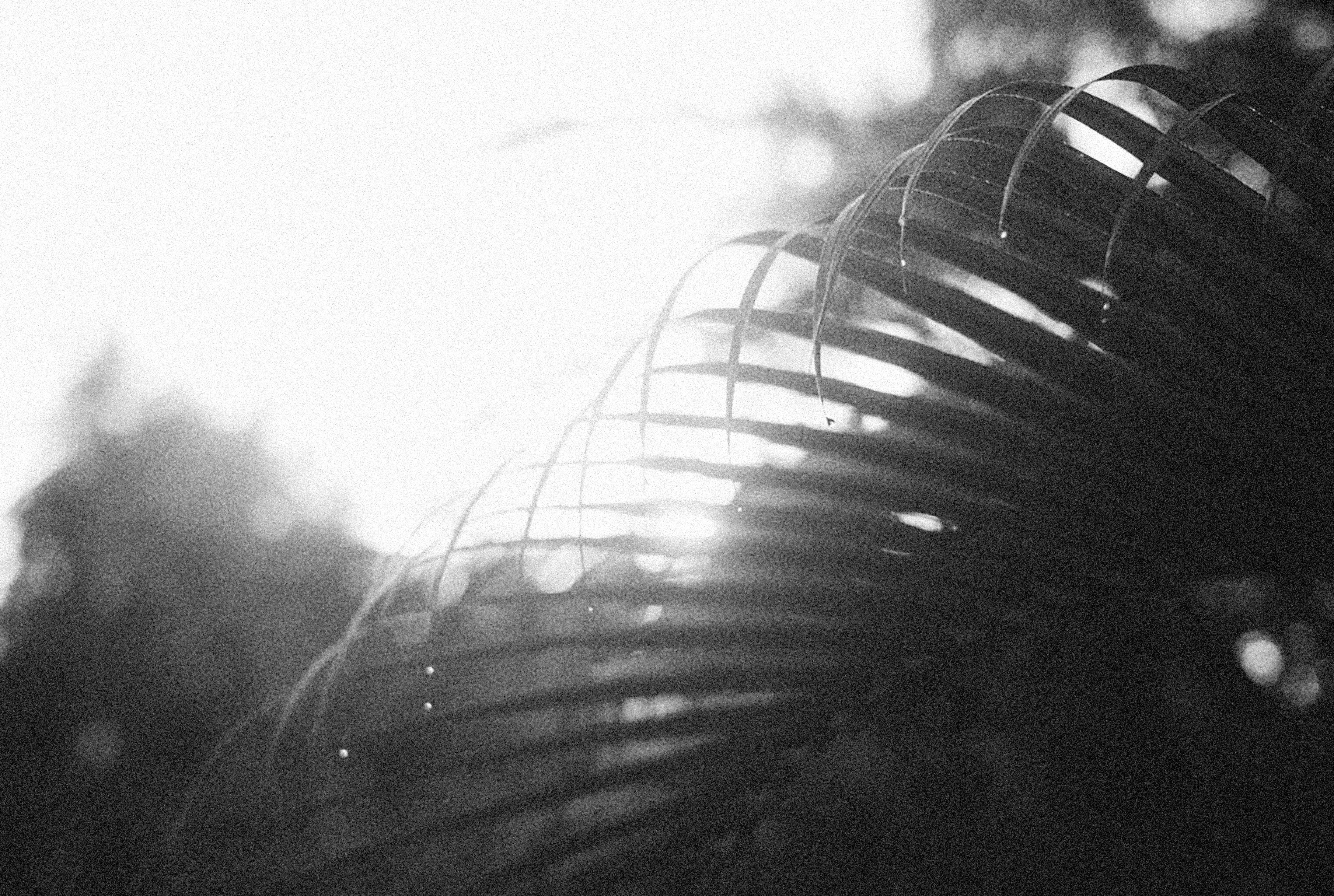 Photo by alexeydemidov