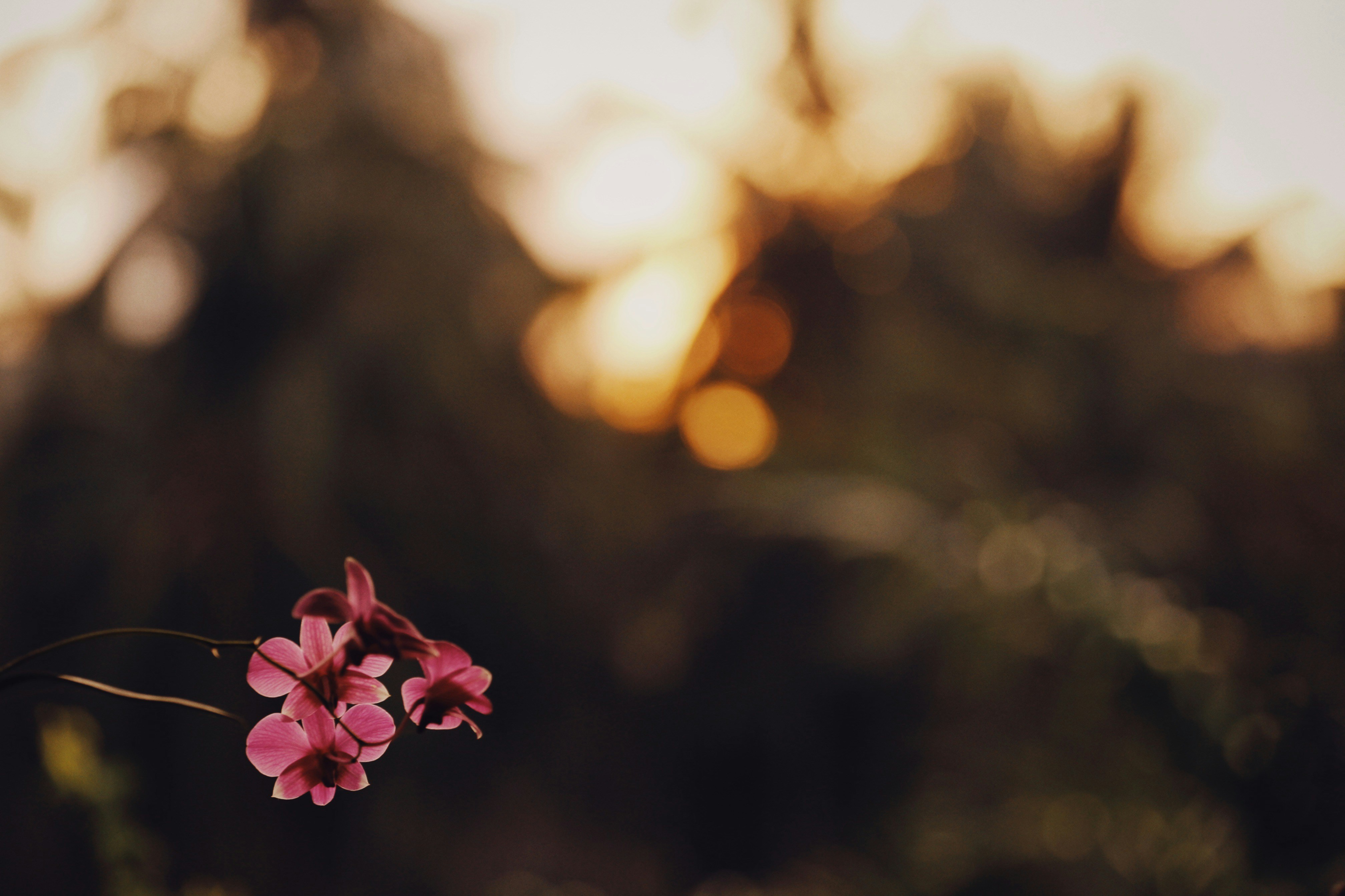 Photo by alexeydemidov