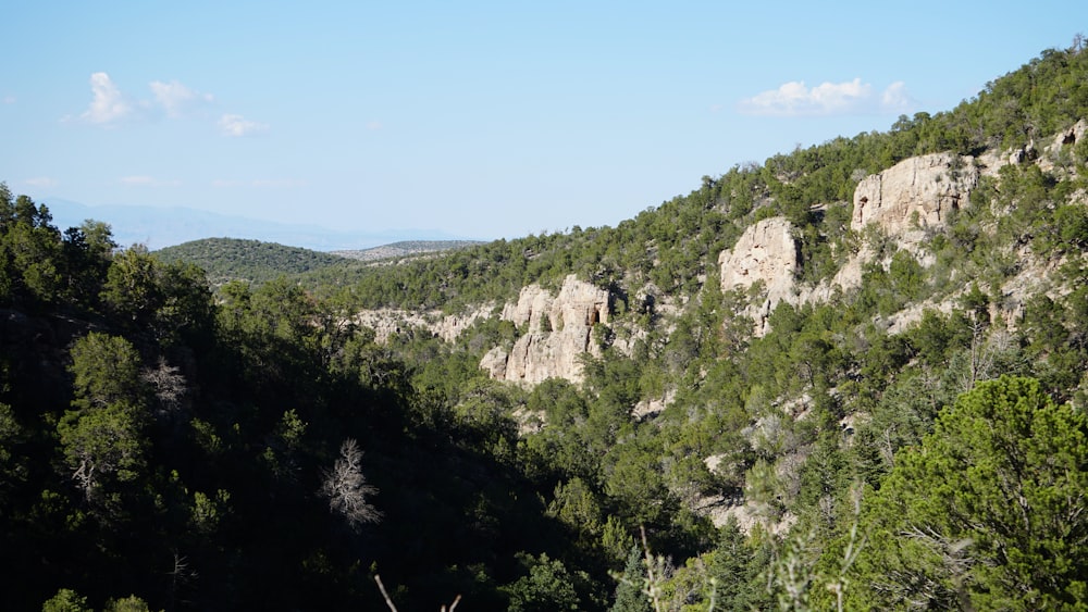 a view of a mountain side with trees and mountains in the background