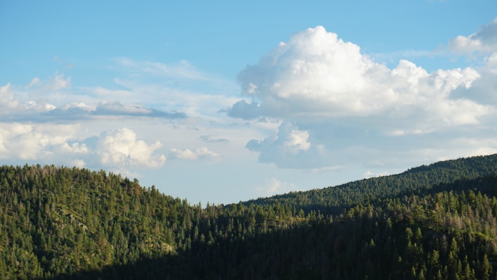 a view of a forested area with a few clouds in the sky