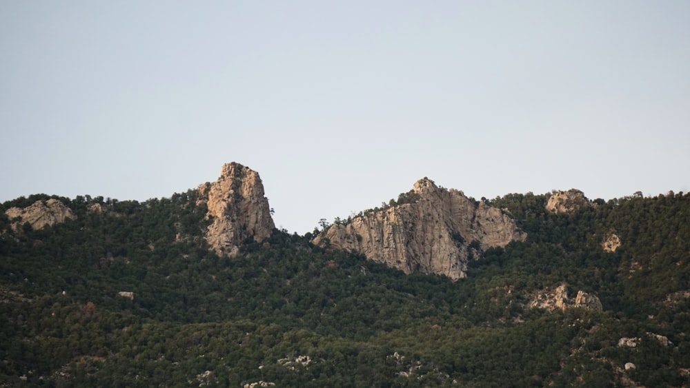 Un groupe de montagnes avec des arbres au premier plan