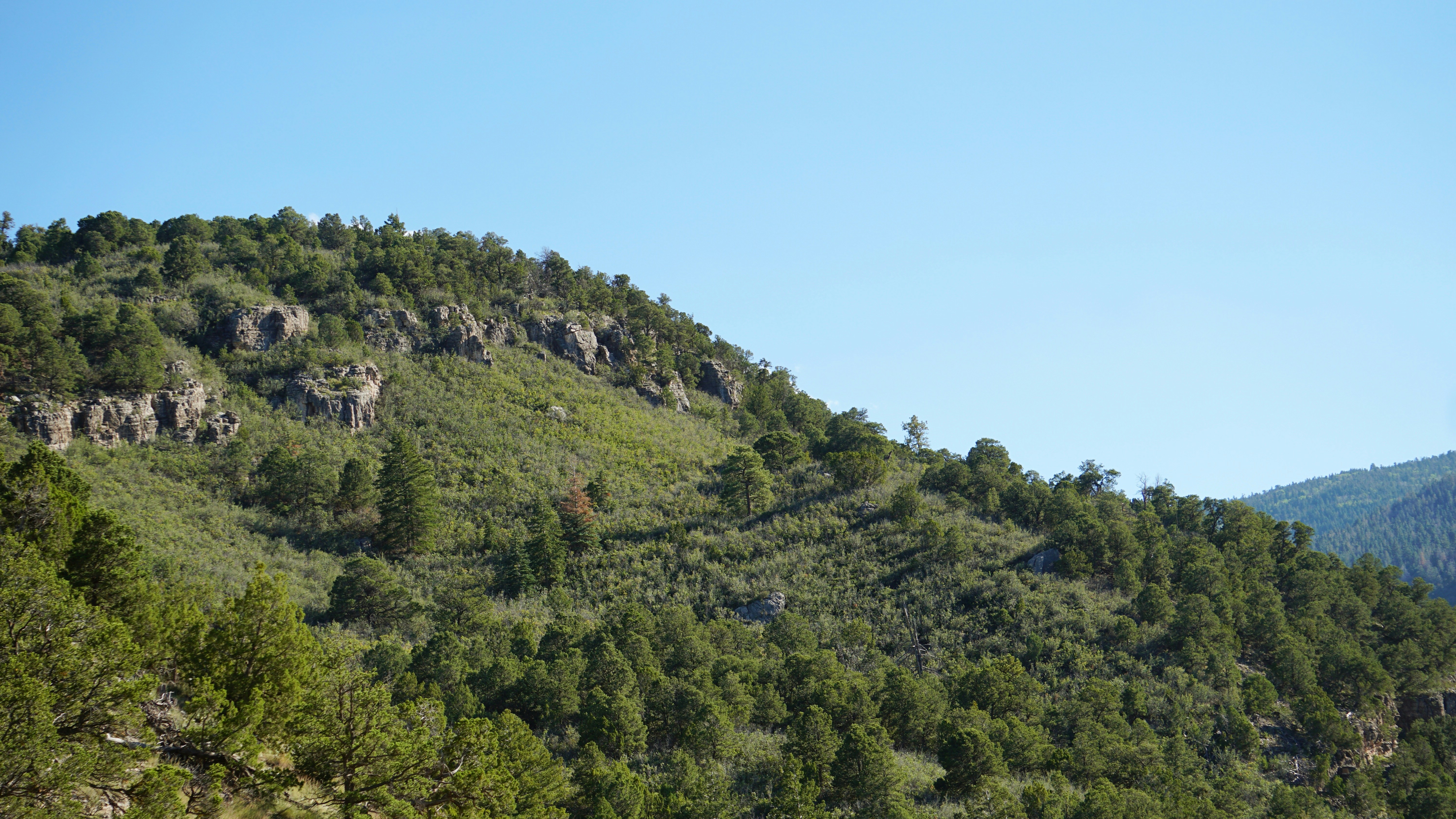 Ein Berg mit Bäumen an der Seite