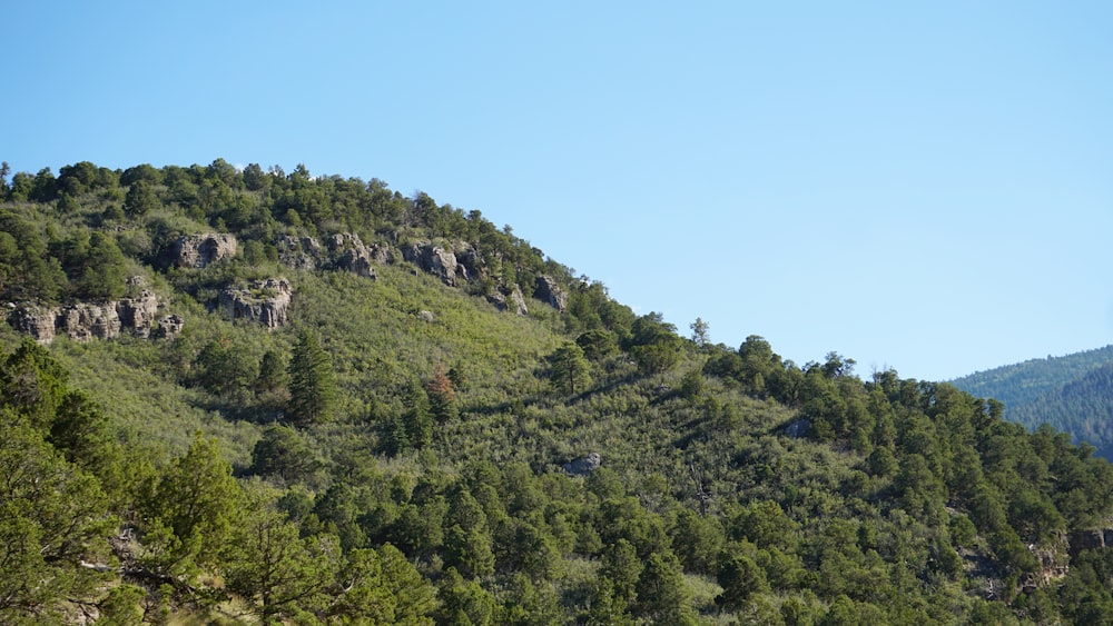 una montagna con alberi sul lato di esso