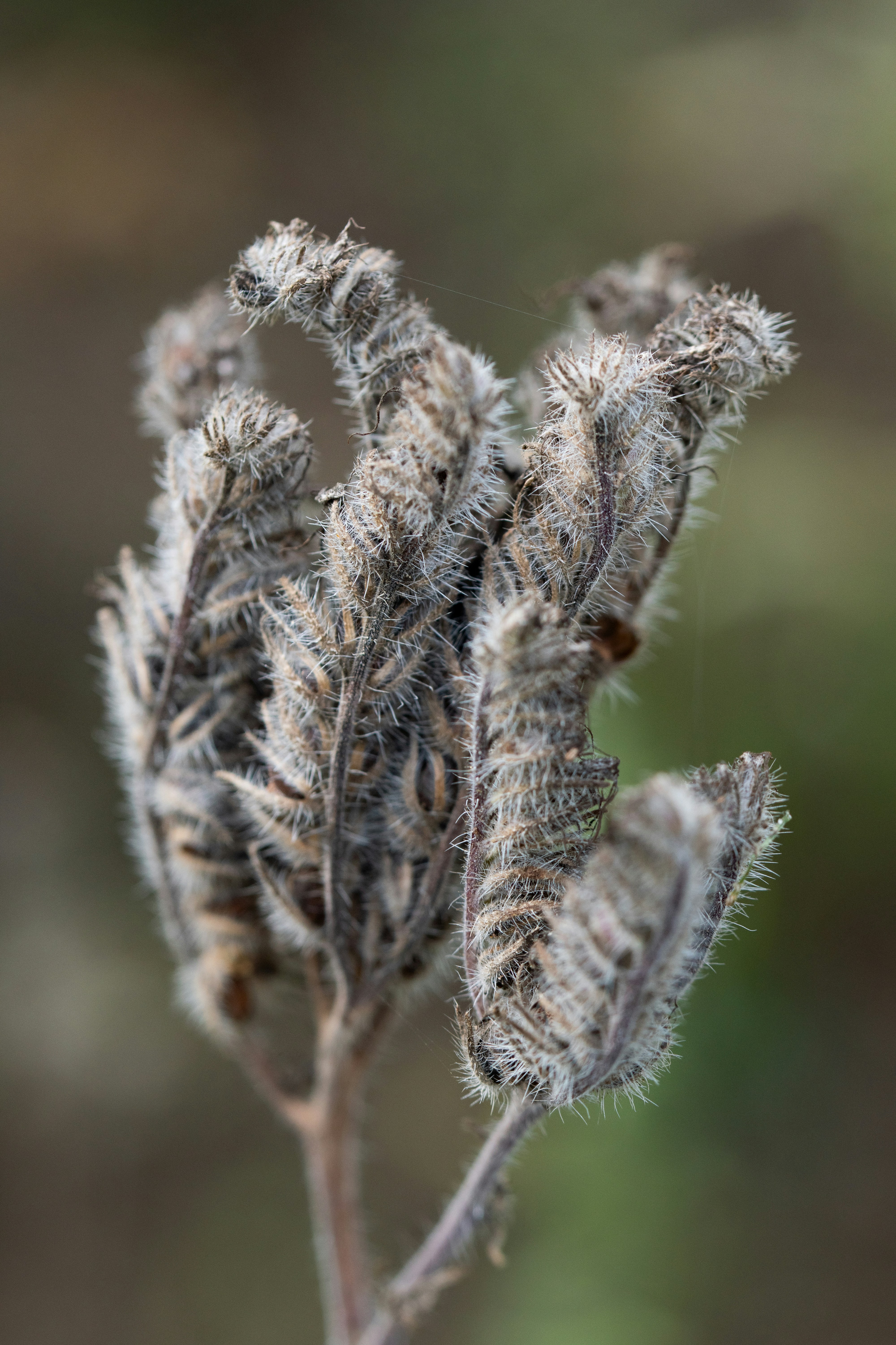 Photo by sebastiank81