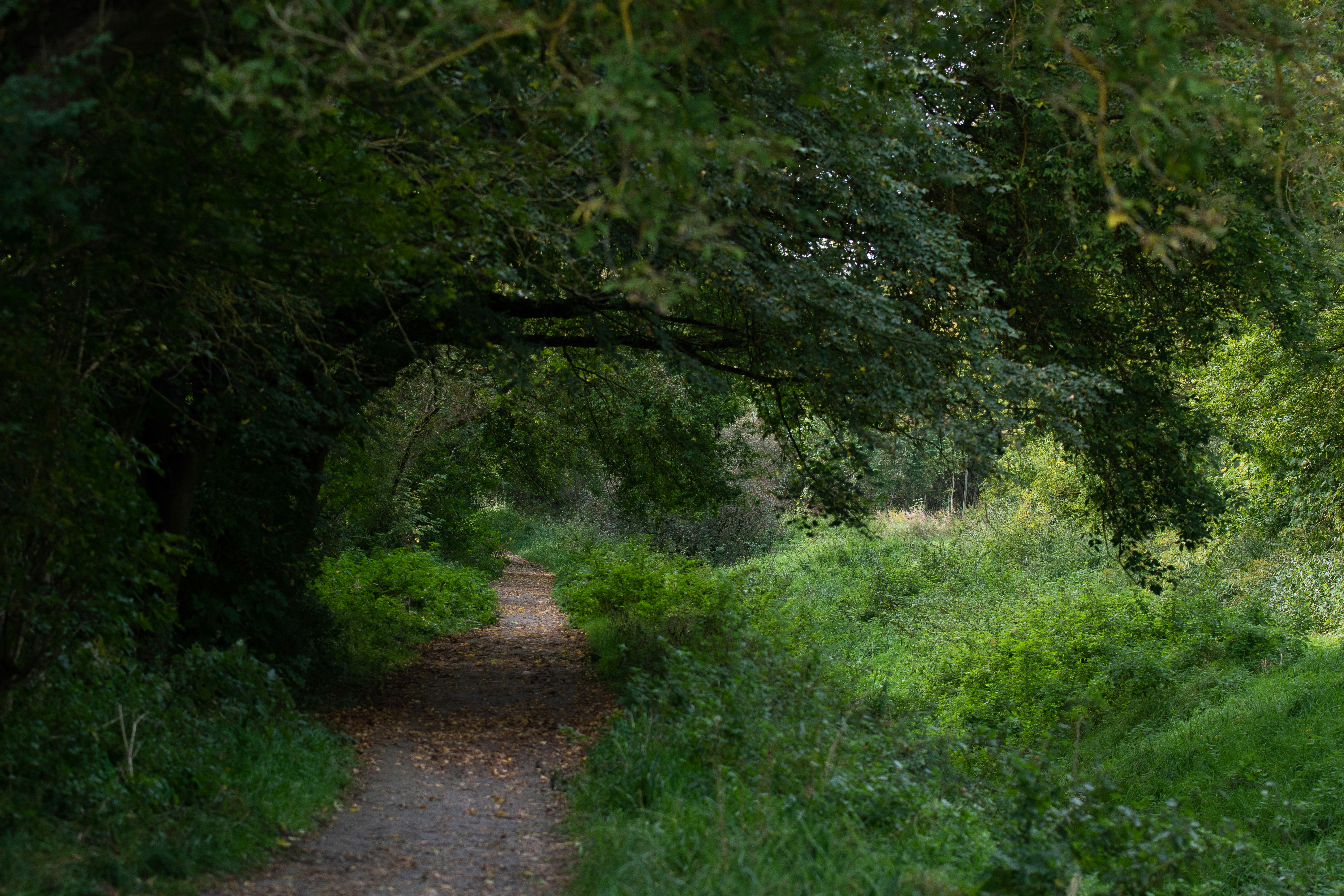 Photo by sebastiank81