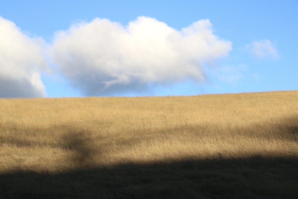 a group of clouds in the sky