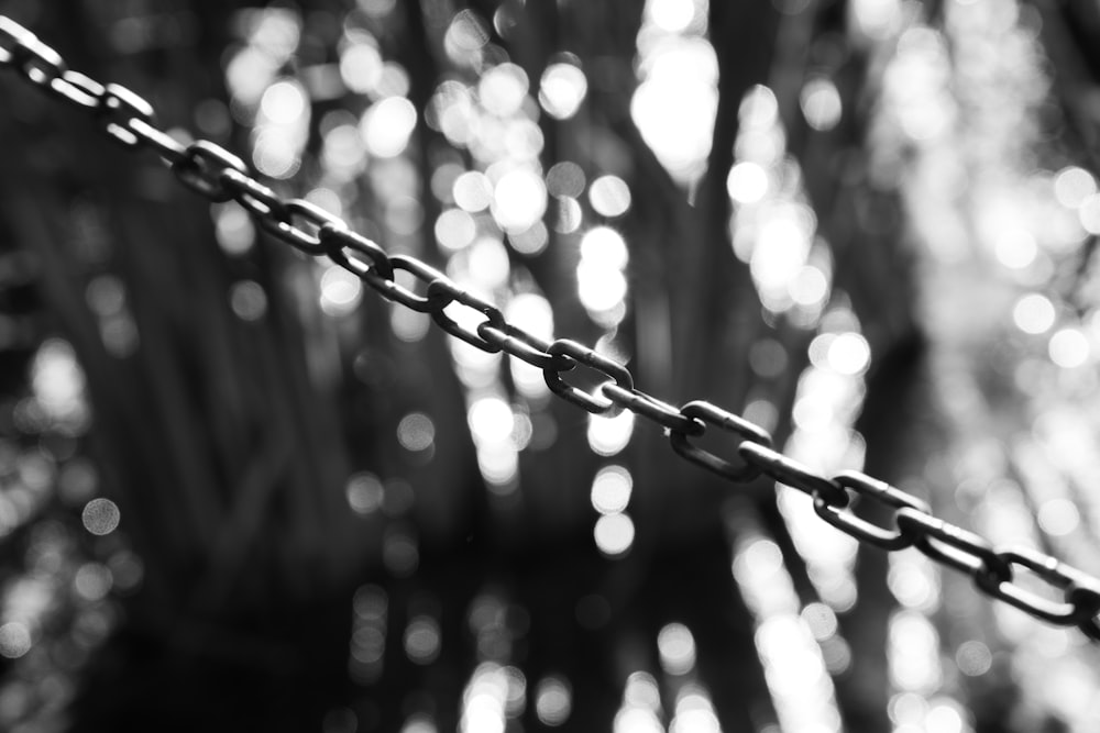 a black and white photo of a chain