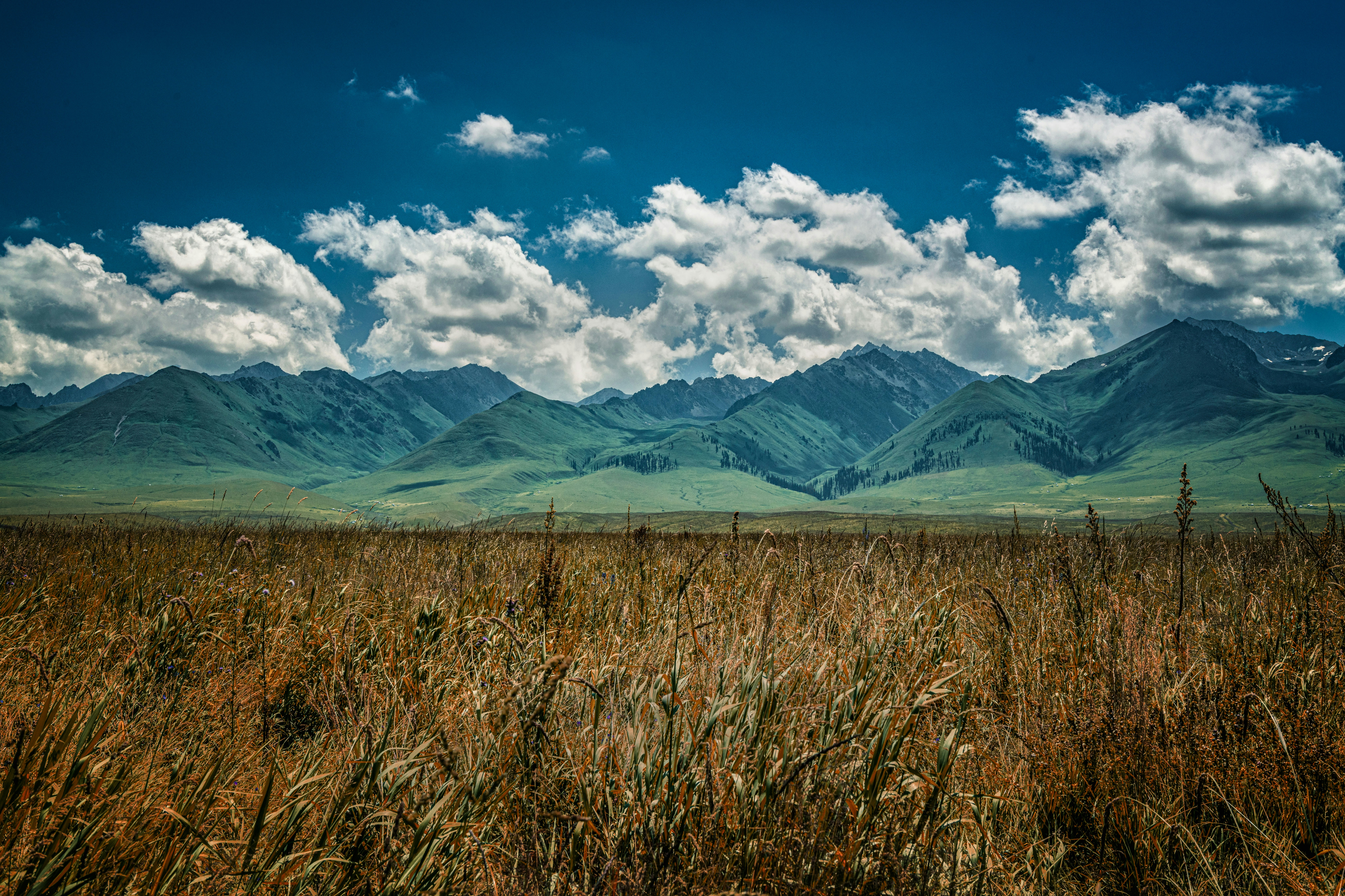 Photo by zhaochen1975