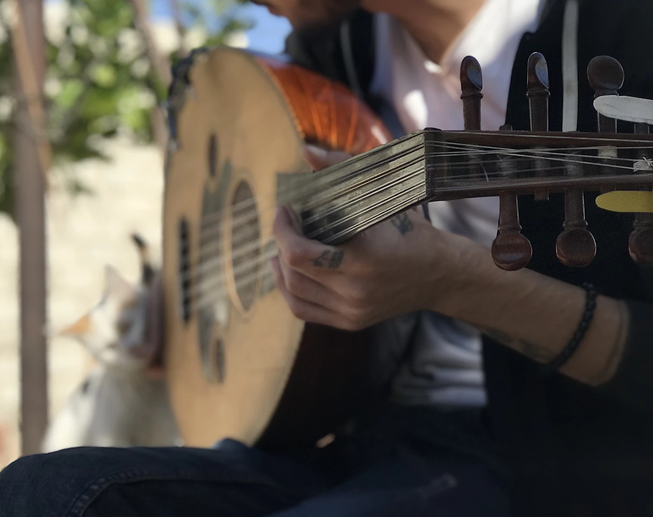 A musician playing a Greek stringed instrument