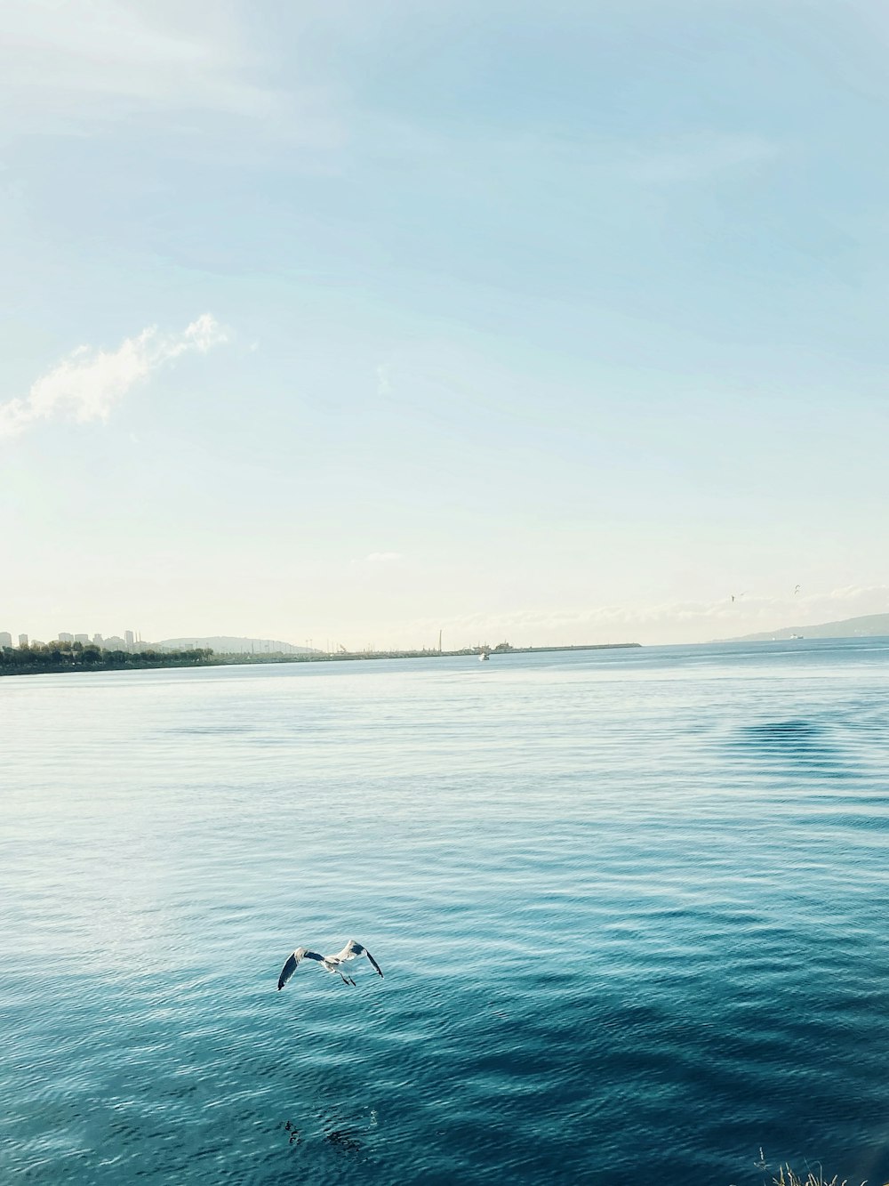 a large body of water with a bird flying over it