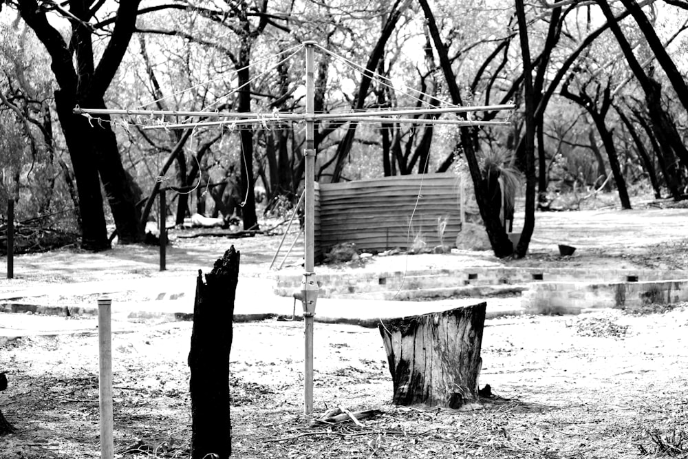 a black and white photo of a bench in a park