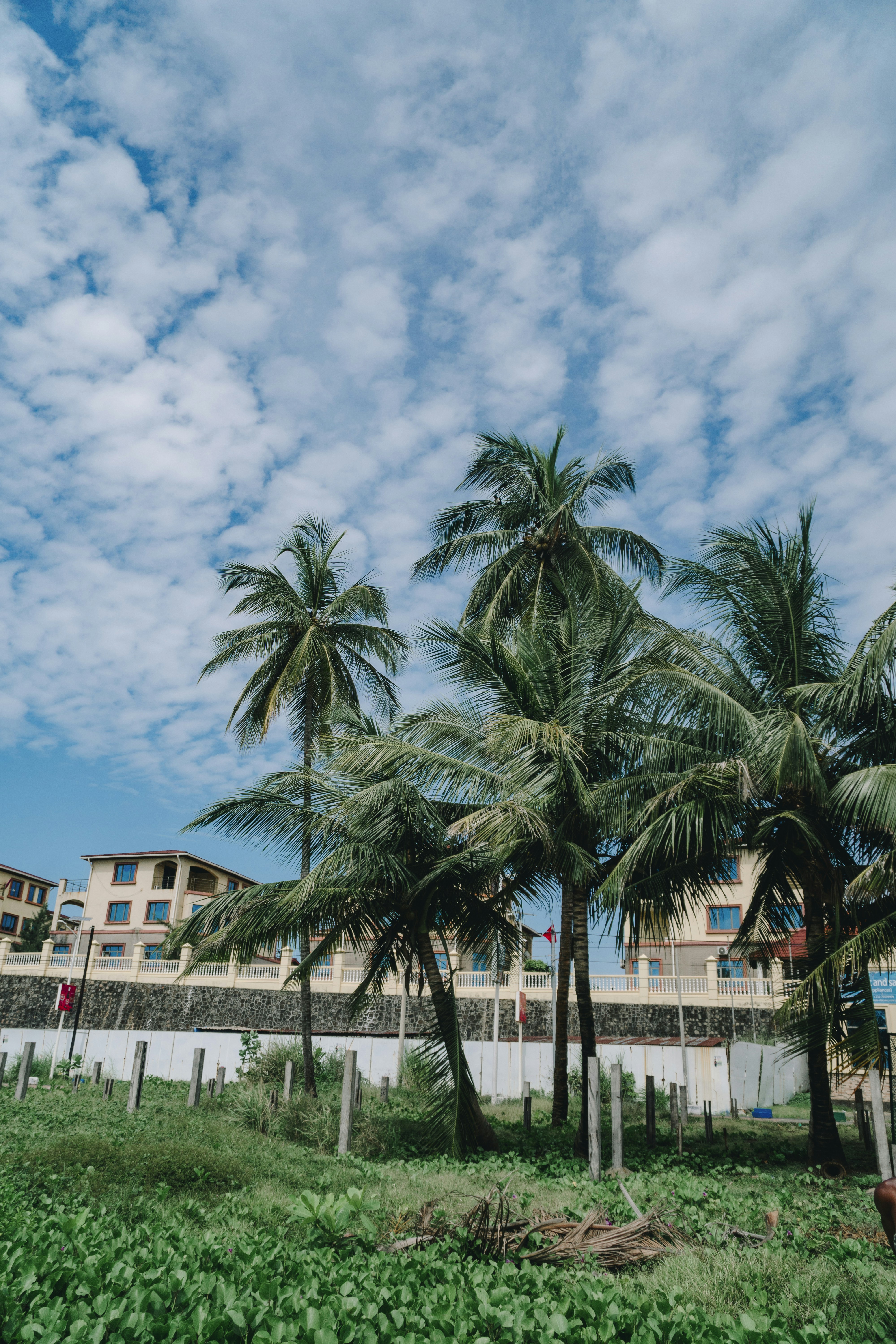 Photo by buntingamir