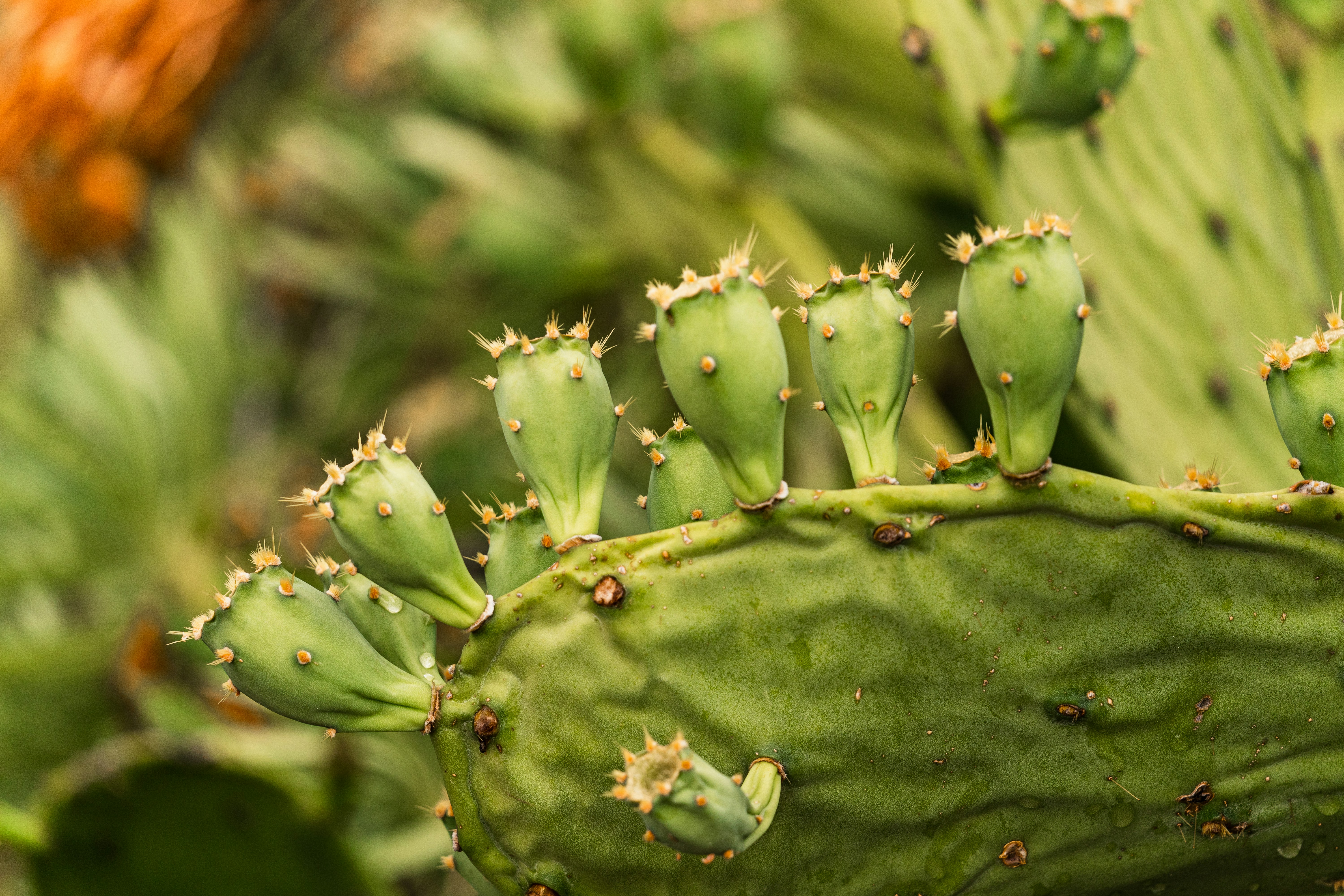 Photo by thestefankostic