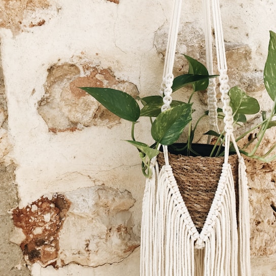 a macrame plant hanging from a wall
