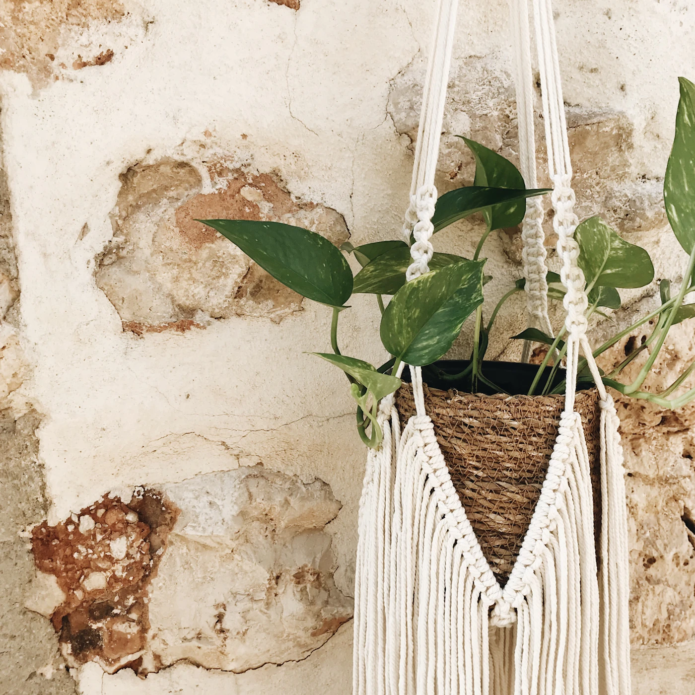 Suporte de macramê para plantas pendurado na parede, em decoração boho