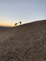 Close-up of hands helping each other climb a rocky trail, showing teamwork and trust.