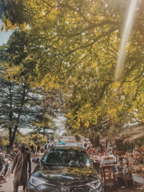 A busy outdoor market scene with a black car parked under a canopy of lush green trees. Sunlight filters through the leaves, creating a dappled effect on the ground. People are seen walking and browsing at various stalls filled with colorful goods and flowers. The environment is lively, with motorcycles and pedestrians adding to the vibrant atmosphere.