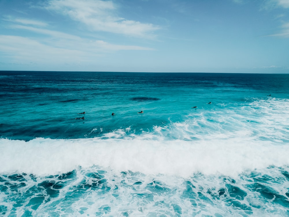 um grupo de pessoas montando pranchas de surf em cima de uma onda