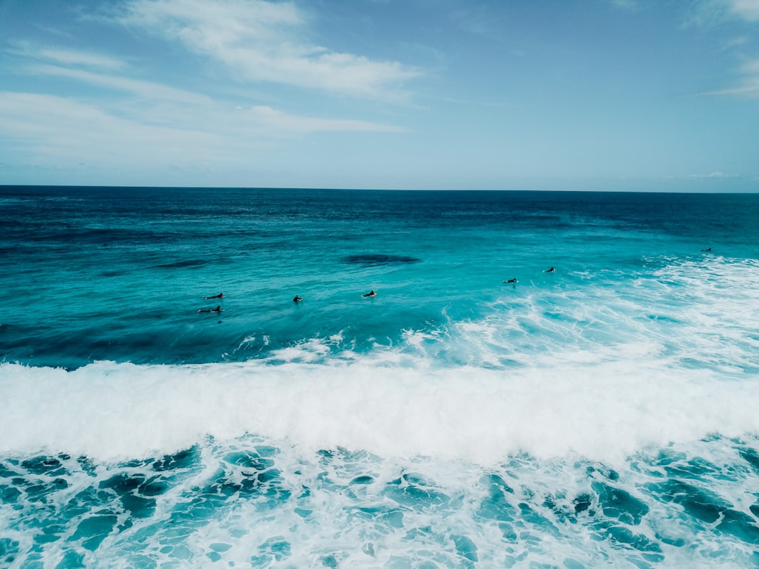 a group of people riding surfboards on top of a wave, Loading…