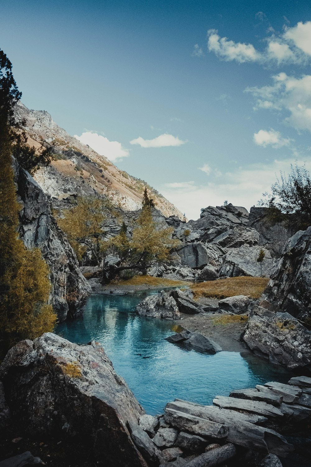 a blue pool surrounded by rocks and trees