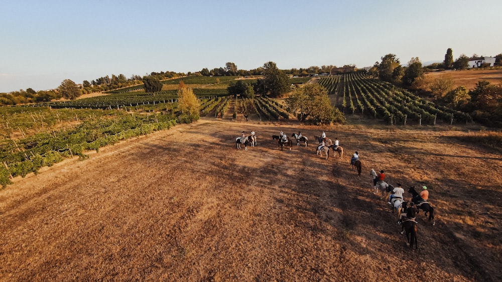 a group of people riding horses down a dirt road