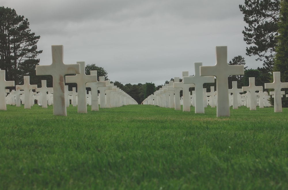 Una hilera de cruces en un campo cubierto de hierba