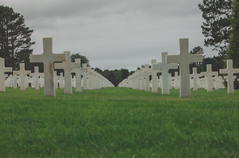 a row of crosses in a grassy field