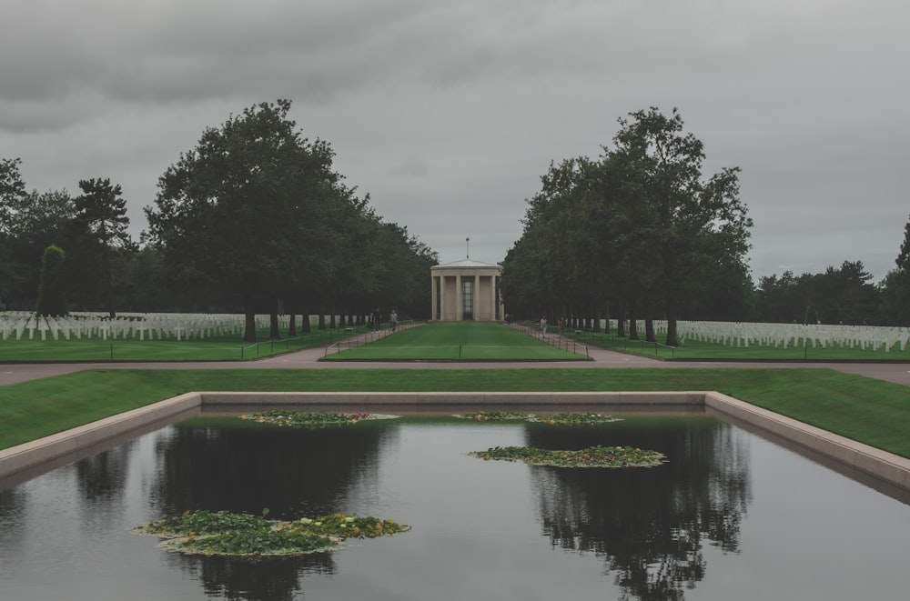 a pond in a park with a white building in the background