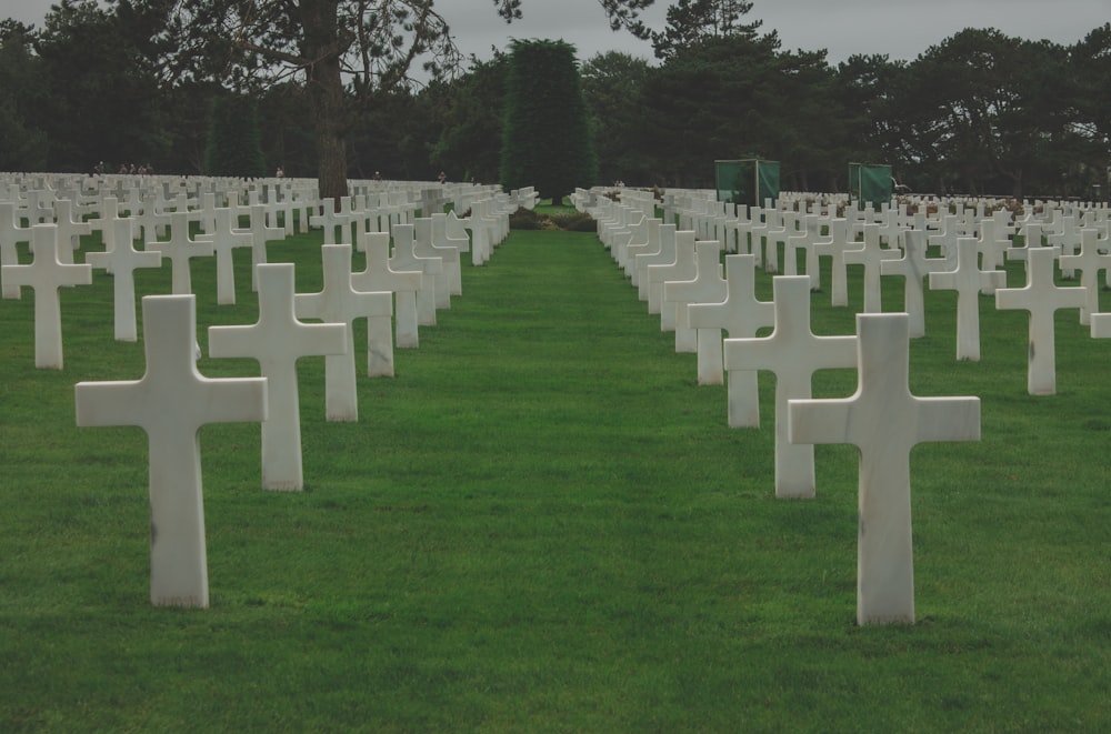 rows of white crosses in a grassy field