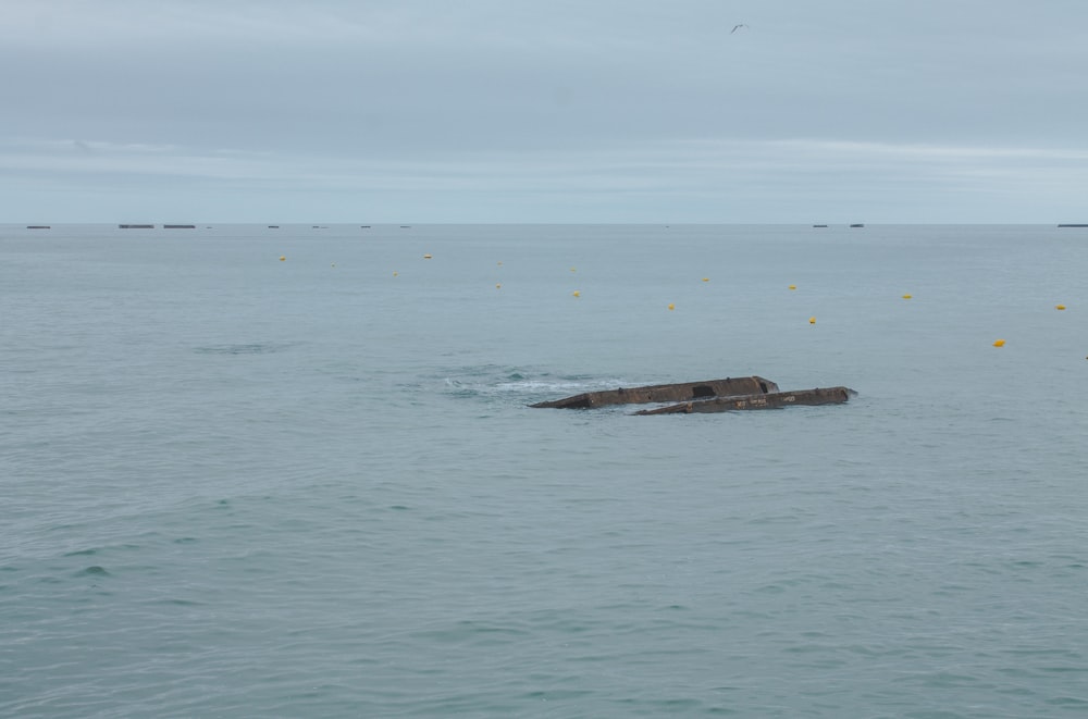 a body of water that has some rocks in it