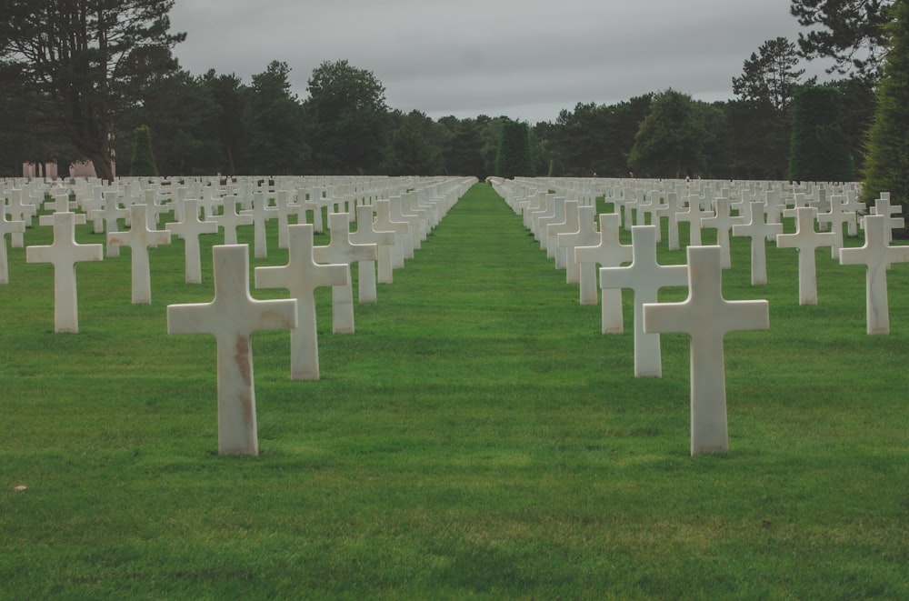 rows of white crosses in a grassy field