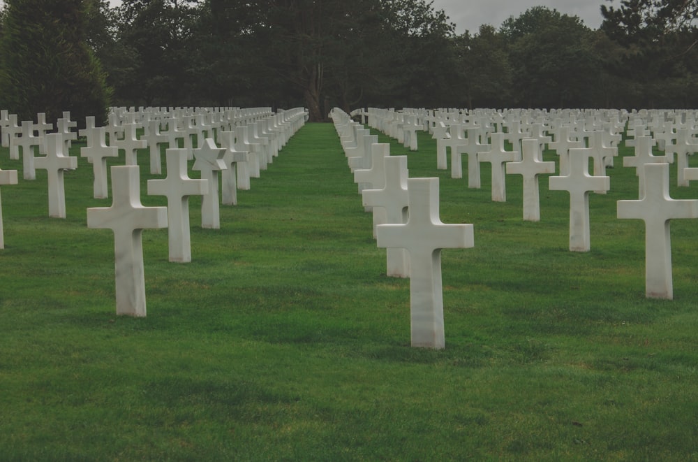 Ein Feld voller weißer Kreuze, die im Gras sitzen