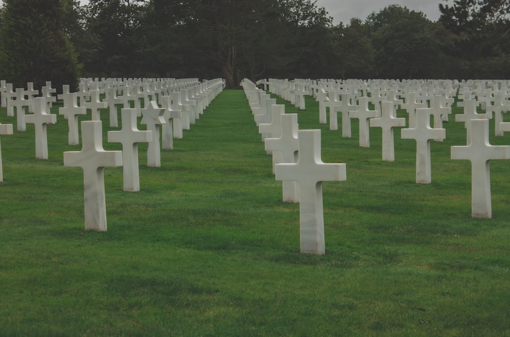 a field full of white crosses sitting in the grass